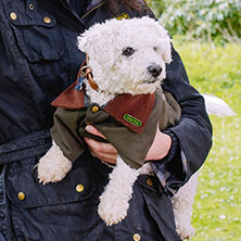 Woodland Country Jacket