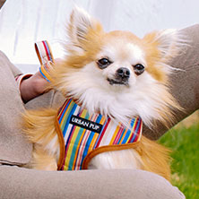 Henley Striped Harness
