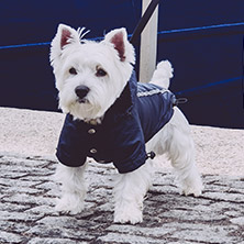 Ink Blue Rainstorm Rain Coat