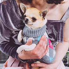 Grey & Pink Argyle Sweater
