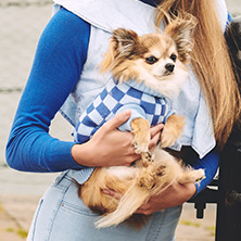 Checkerboard Blue Sweater