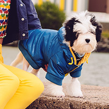 Blue Puffa Insulated Panel Jacket