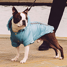Teal Blue Rainstorm Rain Coat