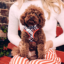 Red & White Plaid Harness