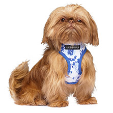 Blue Floral Bouquet Harness