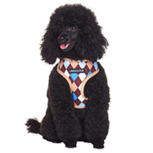 Brown & Blue Argyle Harness
