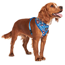 Hero Star Harness