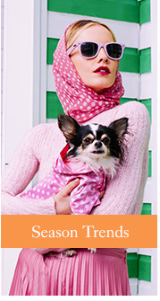 View Urban Pup Autumn / Winter Dog Fashion Trends