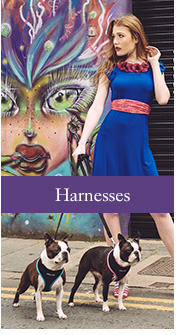 View Urban Pup Patterned & Mesh Dog Harnesses