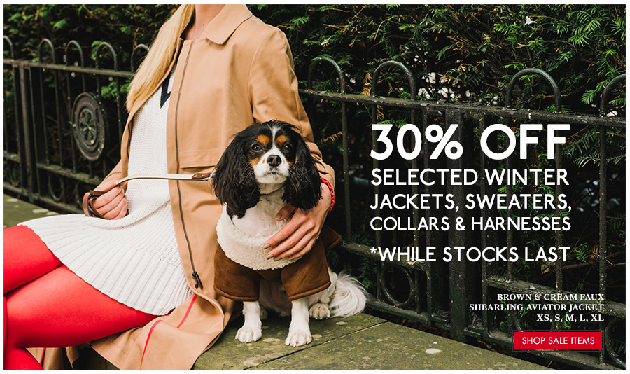 Dog Clothes And Dog Clothing Fashion Outfits Urban Pup