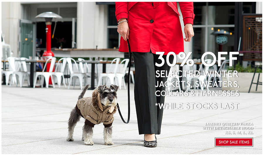 dog walking clothes uk