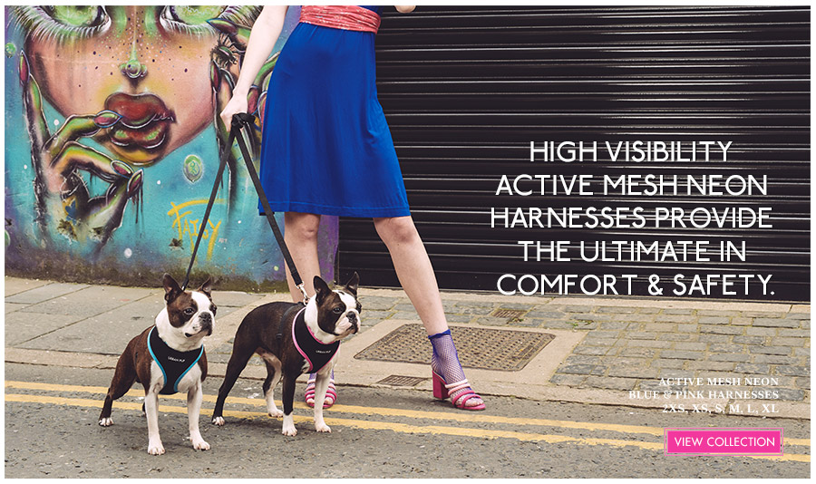 View Urban Pup Active Mesh Dog Harnesses