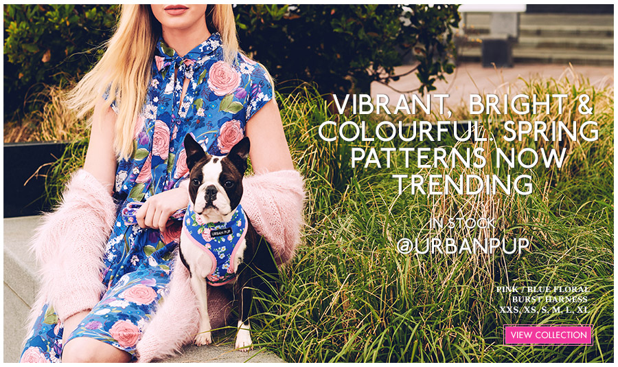 View Urban Pup Patterened Dog Harnesses