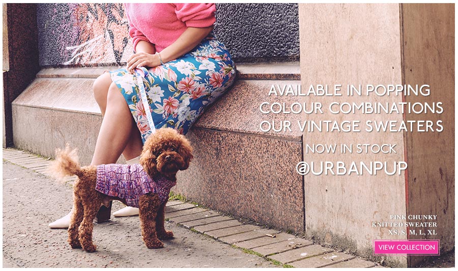 View Urban Pup Knitted Dog Sweaters. Comfortable fashions for Autumn & Winter