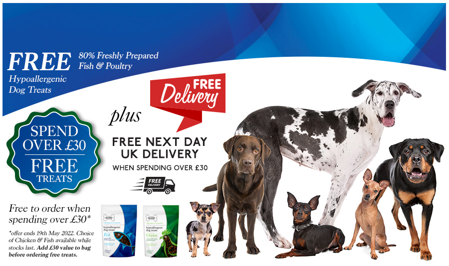 View B.one Grain Free Dog Food & Hypoallergenic Dog Treats