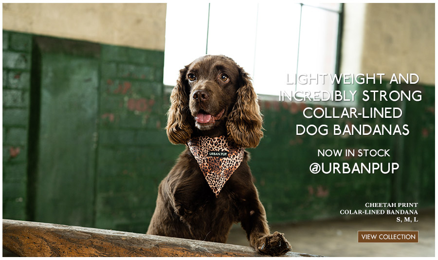 View Urban Pup Patterened Dog Bandanas