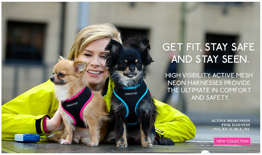 View Urban Pup Mesh Dog Harnesses