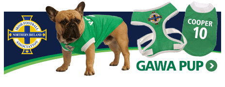 Northern Ireland Football