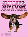 Super Dog