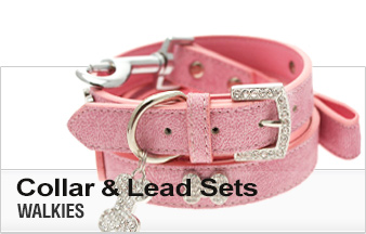 small puppy harness and lead