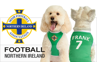 Northern Ireland IFA Kit