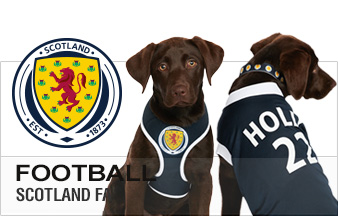 Scotland FA Kit