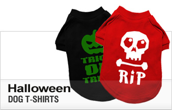 Halloween Dog T-Shirts