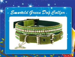Wizard Of Oz Emerald Green Swarovski Dog Collar
