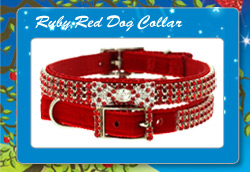 Wizard Of Oz Ruby Red Swarovski Dog Collar