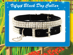 Wizard Of Oz Velvet Black Swarovski Dog Collar