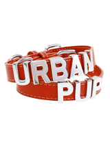 Red Leather Personalised Dog Collar (Chrome Letters) - Red Leather Personalised Dog Collar (Chrome Letters)