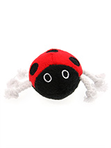 Ladybird Plush & Squeaky Dog Toy - Ladybird, ladybird fly away home says the rhyme, but we suspect this ladybird won't get too far before a set of teeth sinks into it.  These soft, cute and cuddly toys are designed for your dog to both snuggle with and play with.