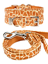 Giraffe Print Fabric Collar & Lead Set - Our Faux Giraffe collar and lead set is a contemporary animal print style and is right on trend. It is a contemporary style and the pattern is on trend. It is lightweight and incredibly strong. The collar has been finished with chrome detailing including the eyelets and tip of the collar. A matching...