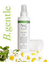 All Natural Sweet Chamomile Dog Spritz (200ml) - Our all natural sweet chamomile spritz spray is used to refresh and condition coats leaving them smooth and silky with the sweet scent of chamomile. Contains wheat protein which has conditioning, moisturising and detangling properties to make the hair look shinier and feel softer. Chamomilla recutit...