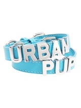 Blue Leather Personalised Dog Collar (Chrome Letters) - Blue Leather Personalised Dog Collar (Chrome Letters)