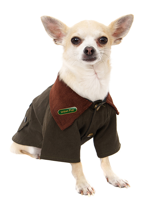 Up country dog clearance coats