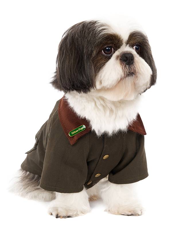 barbour pet accessories