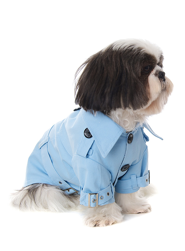 Powder Blue Trench Coat Dog Rain Coats at Urban Pup