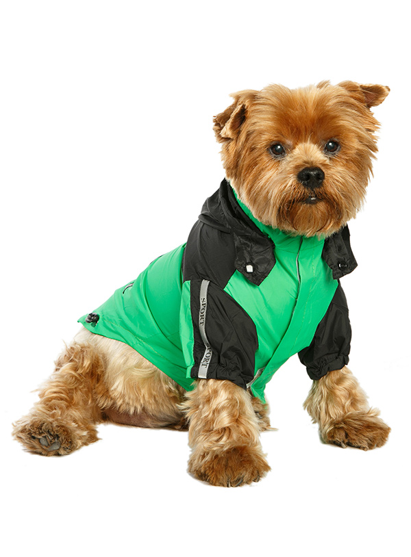 Trailfinder Windbreaker Jacket | Dog Coats at Urban Pup