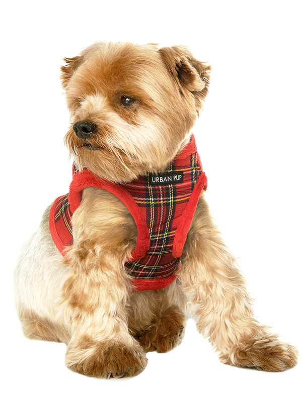 Luxury Red Dog Harness - Designer Dog Clothes