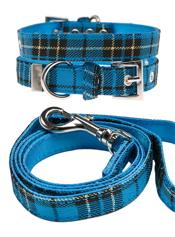 Blue tartan dog sales collar and lead