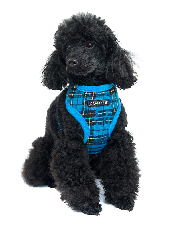 Blue tartan dog harness outlet