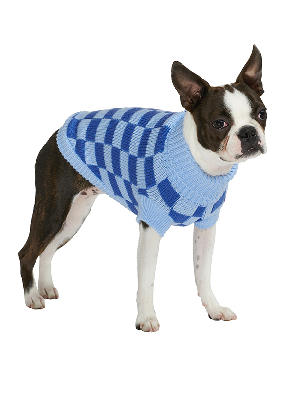 Blue shop dog sweater