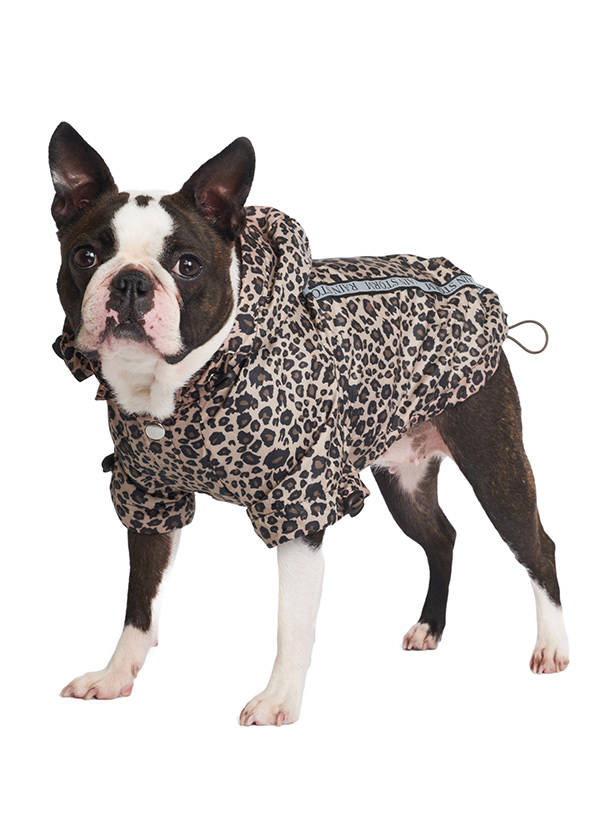 Leopard Print Rainstorm Rain Coat | Dog 