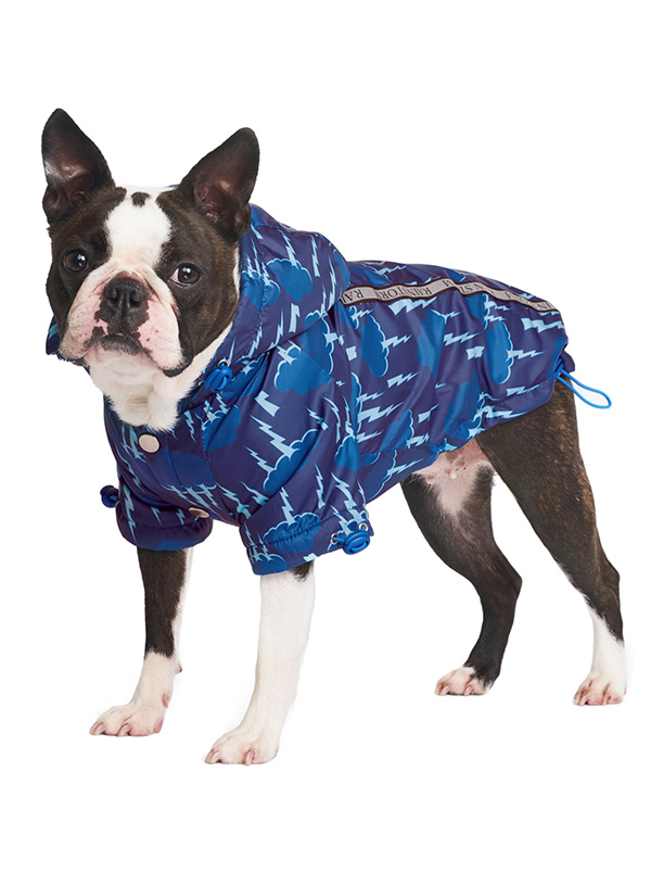 Storm Print Rainstorm Rain Coat | Dog Rain Coats at Urban Pup