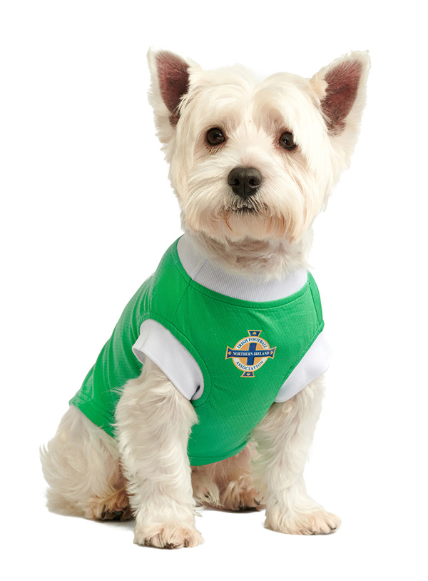 Official Licensed Rangers FC Dog Football Shirts at Urban Pup