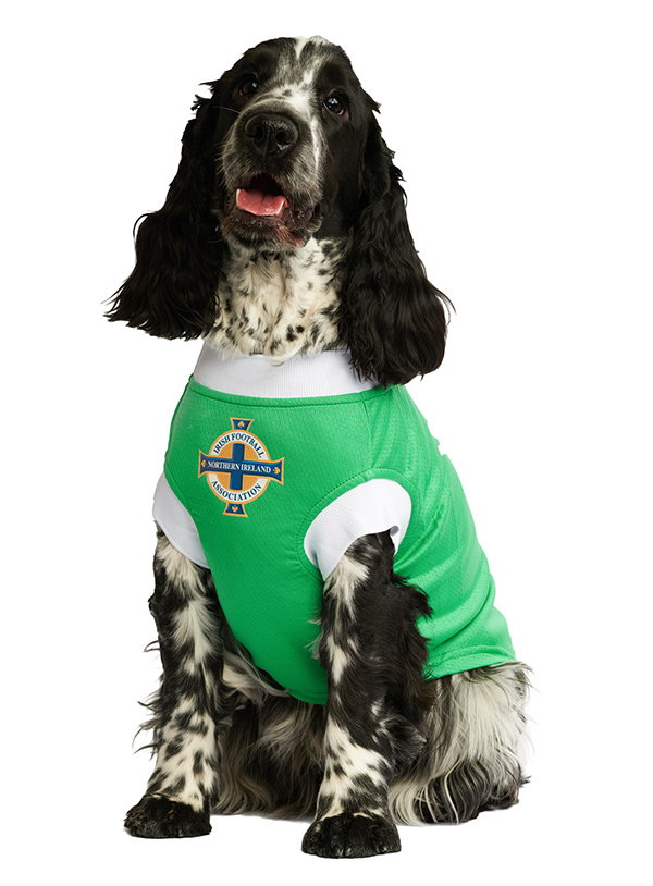 Official Licensed Rangers FC Dog Football Shirts at Urban Pup