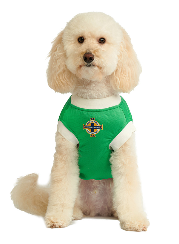 Dog clothing hot sale ireland