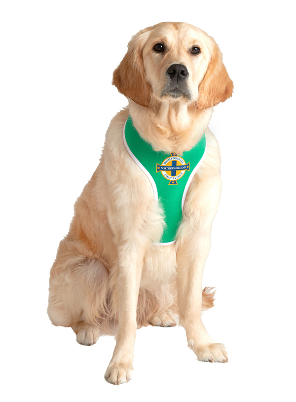 Puppy sales harness ireland
