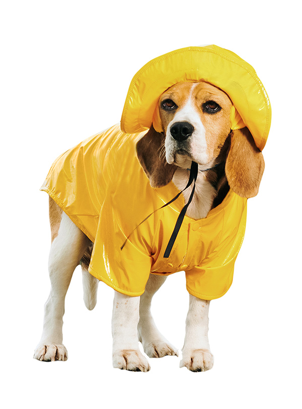 Gromit's Raincoat and Sou'wester | Dog Wallace & Gromit at Urban Pup